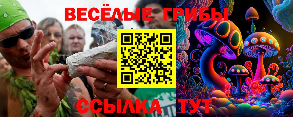 Галлюциногенные грибы мухоморы  Вход с VPN  как найти закладки  Псилоцибиновые грибы Psilocybe  Шахты 