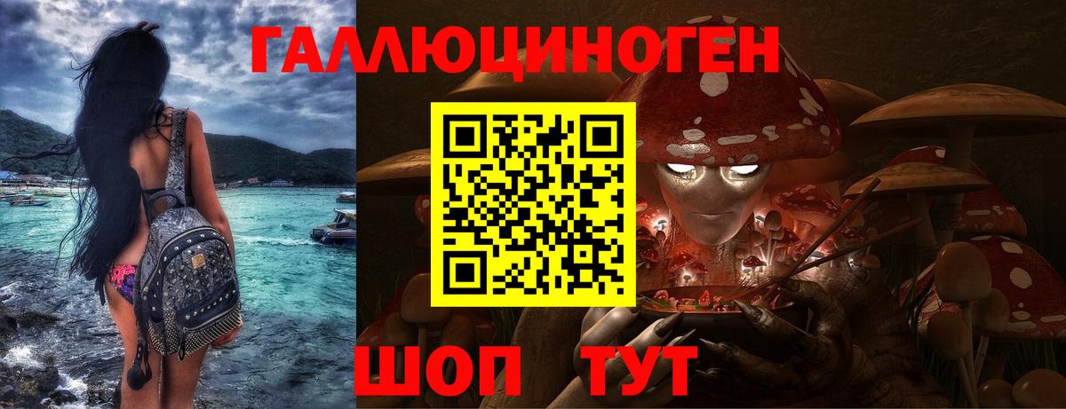 Псилоцибиновые грибы Cubensis Шахты