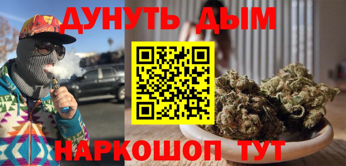 Канабис сатива Шахты