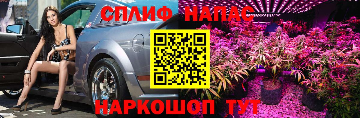 Шахты  Канабис Amnesia  Канабис гибрид  Бошки Шишки марихуана  Вход с VPN 